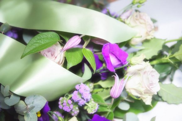 Quelles fleurs choisir pour un enterrement - Saint-Denis - PF 974 LES POINSETTIAS