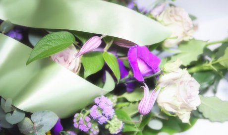 Quelles fleurs choisir pour un enterrement - Saint-Denis - PF 974 LES POINSETTIAS